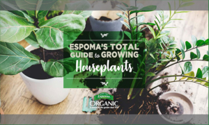 The Espoma Total Guide to Growing Houseplants