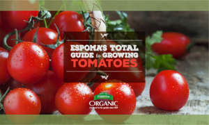 The Espoma Total Guide to Growing Tomatoes