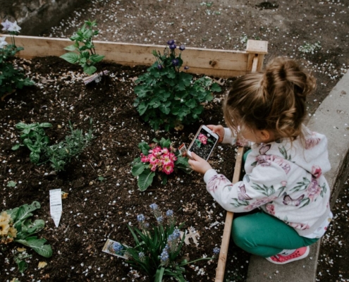 girl taking pictures of flowers